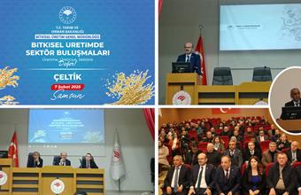 GENEL MÜDÜRLÜĞÜMÜZCE SAMSUNDA ÇELTİK ÜRETİCİLERİYLE BİTKİSEL ÜRETİM SEKTÖR BULUŞMALARINDA BİRARAYA GELİNDİ