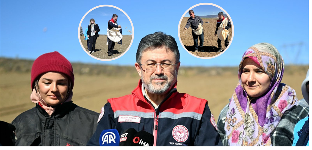 TARIM VE ORMAN BAKANI YUMAKLI, KASTAMONU'DA SARIMSAK EKİMİNE KATILDI