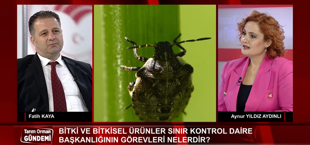 BİTKİ VE BİTKİSEL ÜRÜNLER SINIR KONTROL DAİRE BAŞKANIMIZ, TARIM WEB TV'DE "TARIM ORMAN GÜNDEMİ" CANLI YAYIN KONUĞU OLDU.