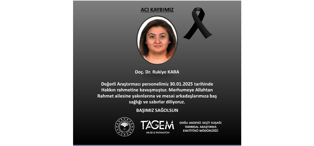 ACI KAYBIMIZ